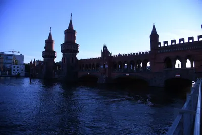 DSC_1786 (Large).JPG